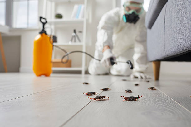 Commercial Rodent Management in Lake Tansi